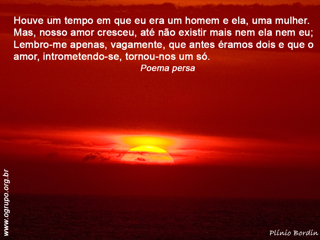 Amor Amor